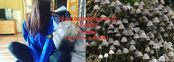 кокс Волосово